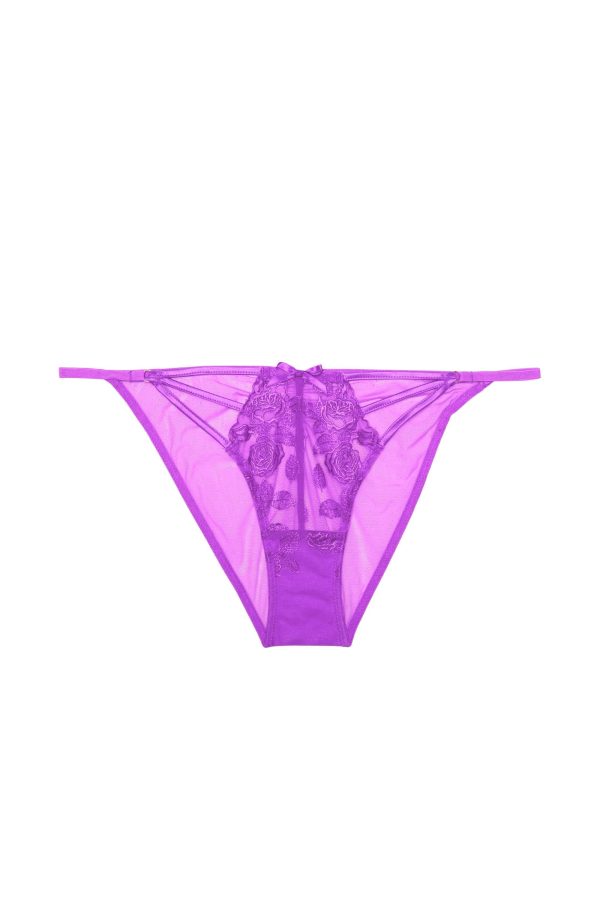 Rosanna Purple Embroidery Brief Online now