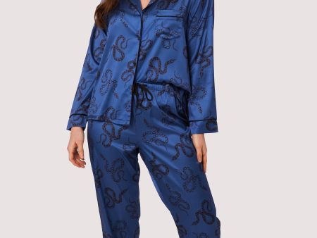 Blue Satin Snake Print Long Sleeve Pyjama Set Online Hot Sale