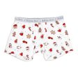 Boy s Holiday Boxer Brief Underwear 3-Pack Online Sale