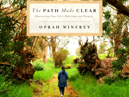 The Path Made Clear: Discovering Your Life s Direction And Purpose Online now